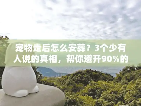 宠物走后怎么安葬？3个少有人说的真相，帮你避开90%的殡葬服务坑