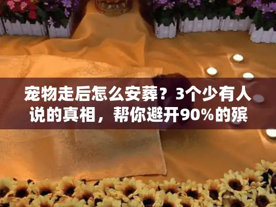 宠物走后怎么安葬？3个少有人说的真相，帮你避开90%的殡葬服务坑