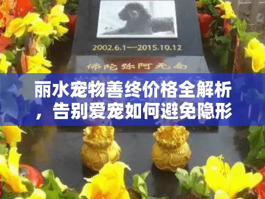 丽水宠物善终价格全解析，告别爱宠如何避免隐形消费？