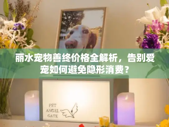 丽水宠物善终价格全解析，告别爱宠如何避免隐形消费？