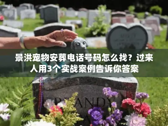 景洪宠物安葬电话号码怎么找？过来人用3个实战案例告诉你答案