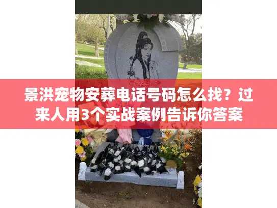 景洪宠物安葬电话号码怎么找？过来人用3个实战案例告诉你答案