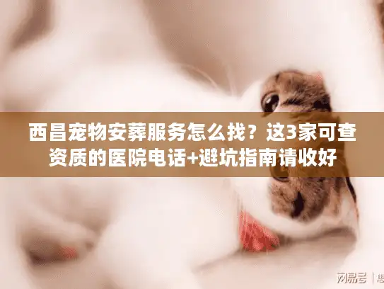 西昌宠物安葬服务怎么找？这3家可查资质的医院电话+避坑指南请收好