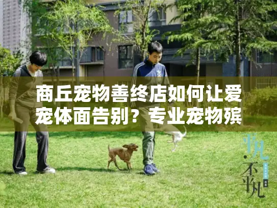 商丘宠物善终店如何让爱宠体面告别？专业宠物殡葬服务全解析