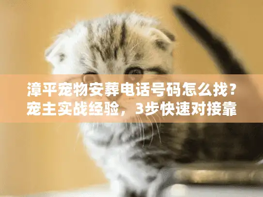 漳平宠物安葬电话号码怎么找？宠主实战经验，3步快速对接靠谱殡葬服务