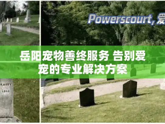 岳阳宠物善终服务 告别爱宠的专业解决方案