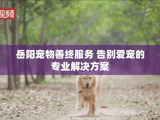 岳阳宠物善终服务 告别爱宠的专业解决方案