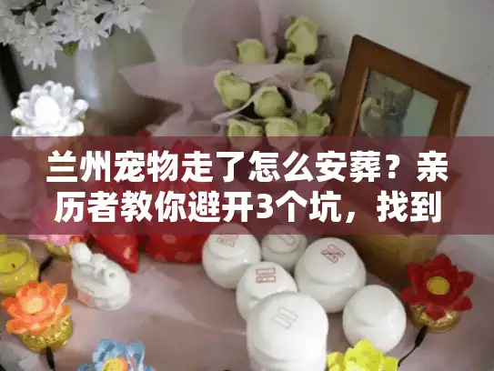 兰州宠物走了怎么安葬？亲历者教你避开3个坑，找到靠谱服务