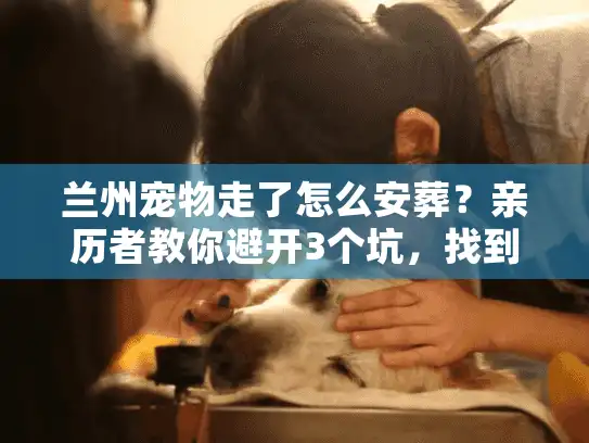 兰州宠物走了怎么安葬？亲历者教你避开3个坑，找到靠谱服务