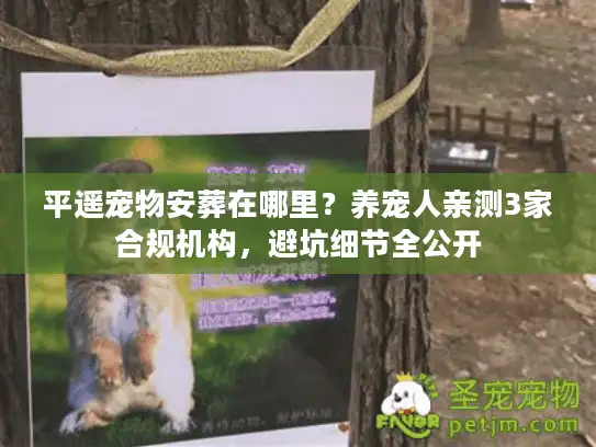 平遥宠物安葬在哪里？养宠人亲测3家合规机构，避坑细节全公开