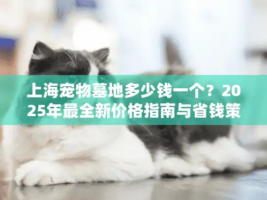 上海宠物墓地多少钱一个？2025年最全新价格指南与省钱策略