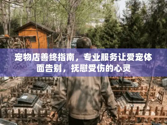 宠物店善终指南，专业服务让爱宠体面告别，抚慰受伤的心灵