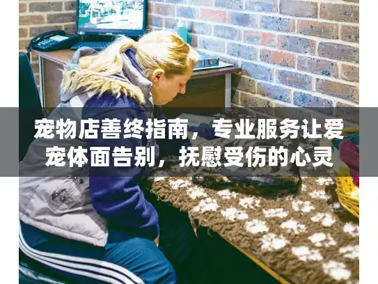 宠物店善终指南，专业服务让爱宠体面告别，抚慰受伤的心灵