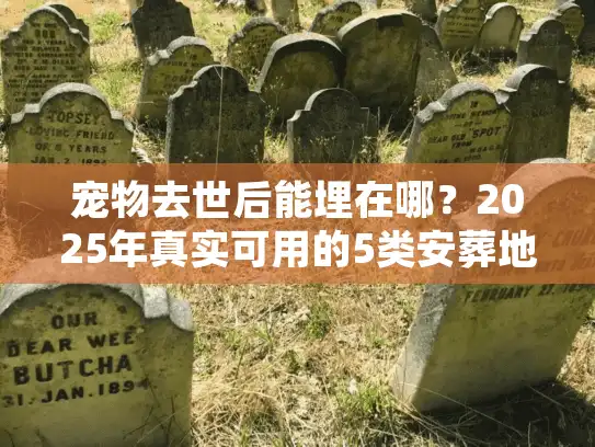 宠物去世后能埋在哪？2025年真实可用的5类安葬地+避坑指南