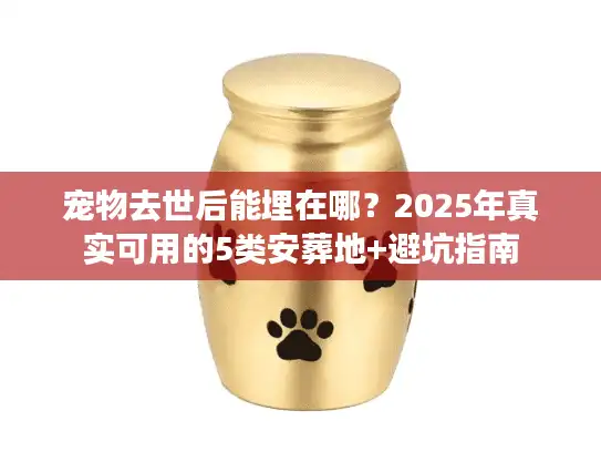 宠物去世后能埋在哪？2025年真实可用的5类安葬地+避坑指南