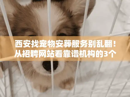 西安找宠物安葬服务别乱翻！从招聘网站看靠谱机构的3个隐藏密码