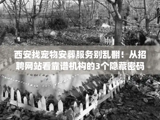 西安找宠物安葬服务别乱翻！从招聘网站看靠谱机构的3个隐藏密码