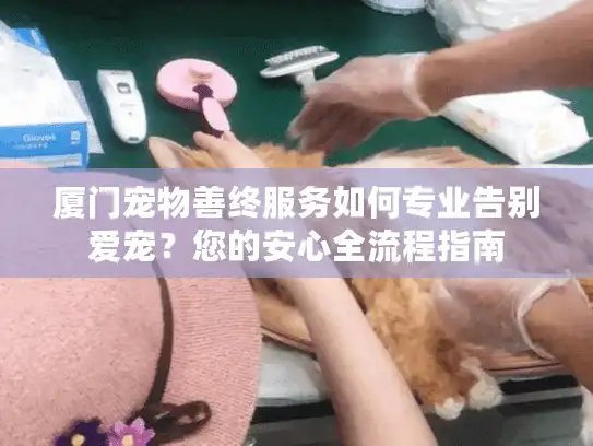厦门宠物善终服务如何专业告别爱宠？您的安心全流程指南