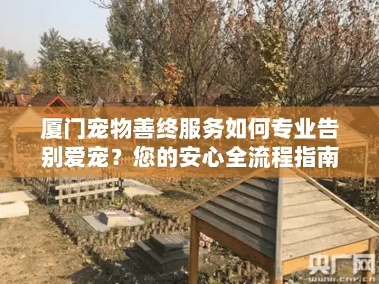 厦门宠物善终服务如何专业告别爱宠？您的安心全流程指南
