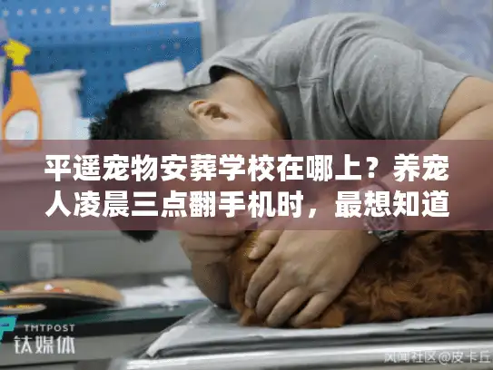 平遥宠物安葬学校在哪上？养宠人凌晨三点翻手机时，最想知道的真相