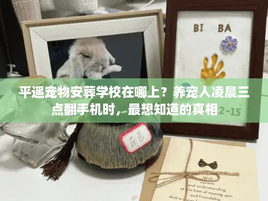 平遥宠物安葬学校在哪上？养宠人凌晨三点翻手机时，最想知道的真相