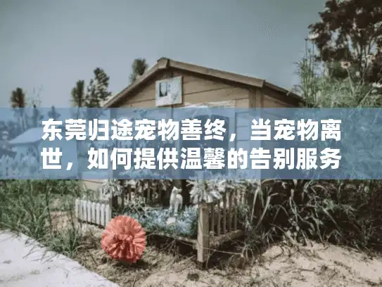 东莞归途宠物善终，当宠物离世，如何提供温馨的告别服务？