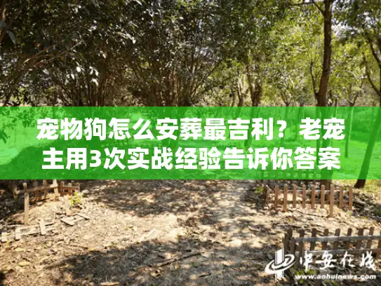 宠物狗怎么安葬最吉利？老宠主用3次实战经验告诉你答案