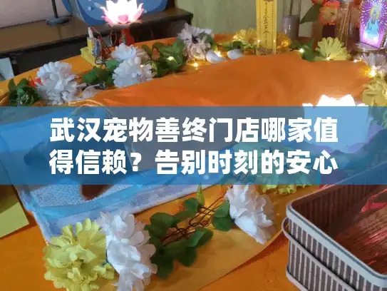 武汉宠物善终门店哪家值得信赖？告别时刻的安心之选