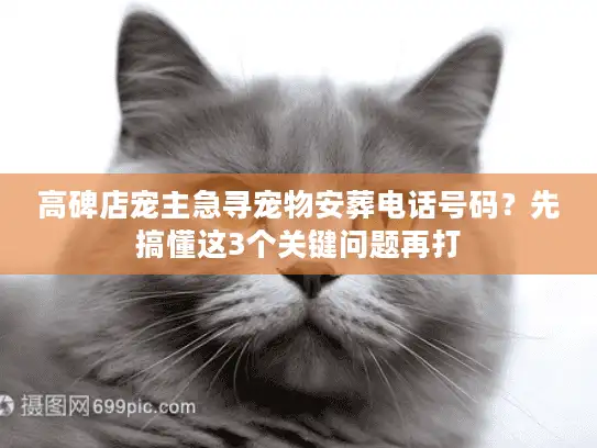 高碑店宠主急寻宠物安葬电话号码？先搞懂这3个关键问题再打