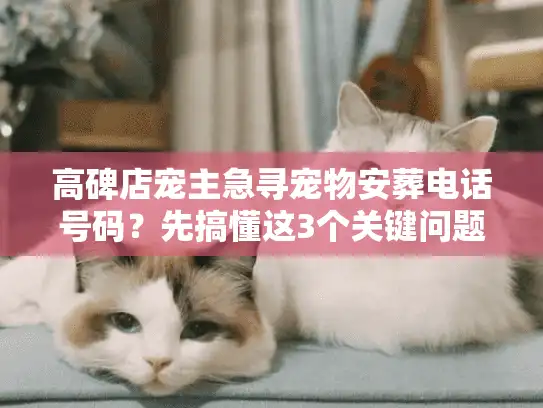 高碑店宠主急寻宠物安葬电话号码？先搞懂这3个关键问题再打