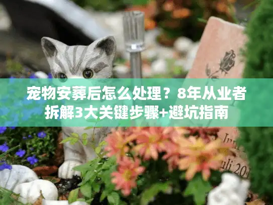 宠物安葬后怎么处理？8年从业者拆解3大关键步骤+避坑指南