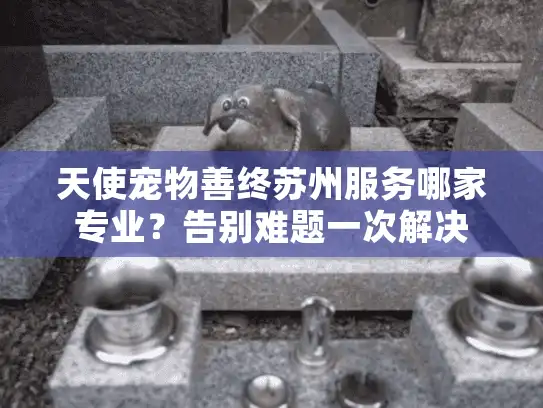 天使宠物善终苏州服务哪家专业？告别难题一次解决