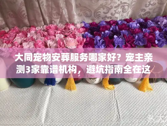 大同宠物安葬服务哪家好？宠主亲测3家靠谱机构，避坑指南全在这