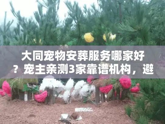 大同宠物安葬服务哪家好？宠主亲测3家靠谱机构，避坑指南全在这