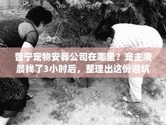 普宁宠物安葬公司在哪里？宠主凌晨找了3小时后，整理出这份避坑+靠谱清单