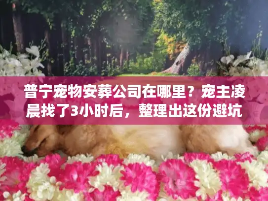 普宁宠物安葬公司在哪里？宠主凌晨找了3小时后，整理出这份避坑+靠谱清单