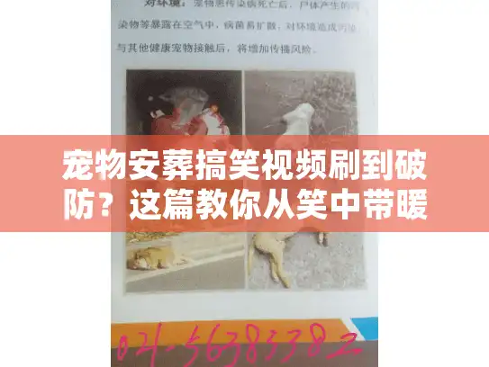 宠物安葬搞笑视频刷到破防？这篇教你从笑中带暖里找到能托付毛孩子的靠谱殡葬服务