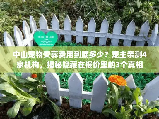 中山宠物安葬费用到底多少？宠主亲测4家机构，揭秘隐藏在报价里的3个真相