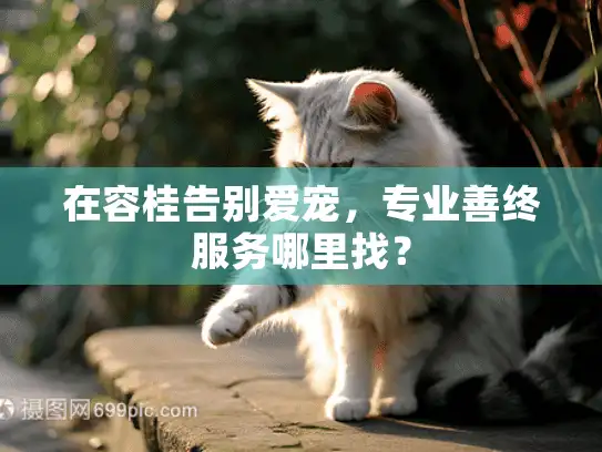 在容桂告别爱宠，专业善终服务哪里找？