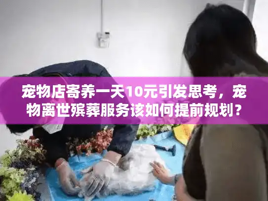 宠物店寄养一天10元引发思考，宠物离世殡葬服务该如何提前规划？