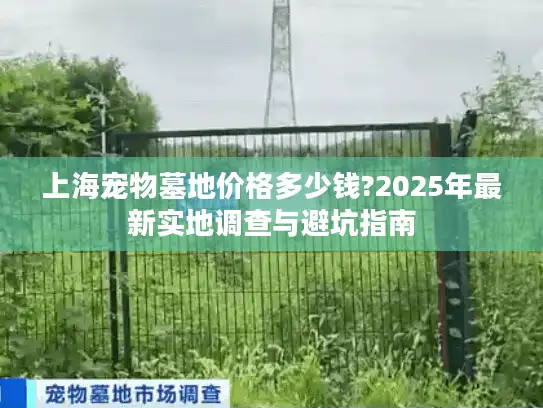 上海宠物墓地价格多少钱?2025年最新实地调查与避坑指南