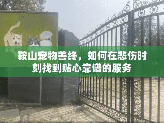 鞍山宠物善终，如何在悲伤时刻找到贴心靠谱的服务