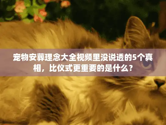 宠物安葬理念大全视频里没说透的5个真相，比仪式更重要的是什么？