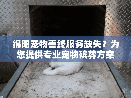 绵阳宠物善终服务缺失？为您提供专业宠物殡葬方案！