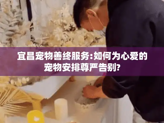 宜昌宠物善终服务:如何为心爱的宠物安排尊严告别?