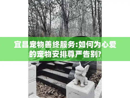 宜昌宠物善终服务:如何为心爱的宠物安排尊严告别?