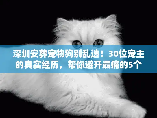 深圳安葬宠物狗别乱选！30位宠主的真实经历，帮你避开最痛的5个坑