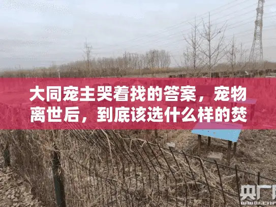 大同宠主哭着找的答案，宠物离世后，到底该选什么样的焚烧安葬才不后悔？
