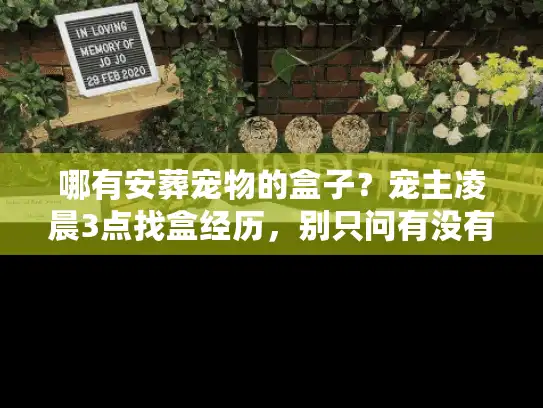 哪有安葬宠物的盒子？宠主凌晨3点找盒经历，别只问有没有，要先想对不对