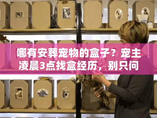 哪有安葬宠物的盒子？宠主凌晨3点找盒经历，别只问有没有，要先想对不对